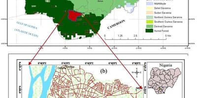 Carte du nigeria montrant les ceintures de végétation